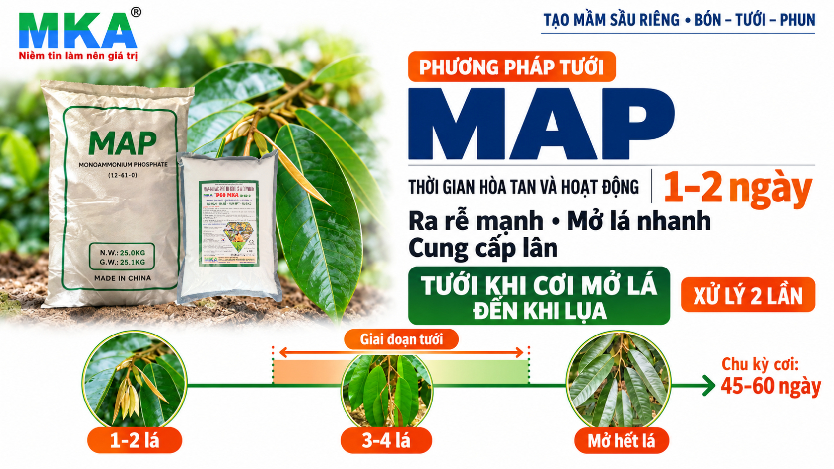 MAP - phân bón hòa tan lân cao tạo mầm sầu riêng